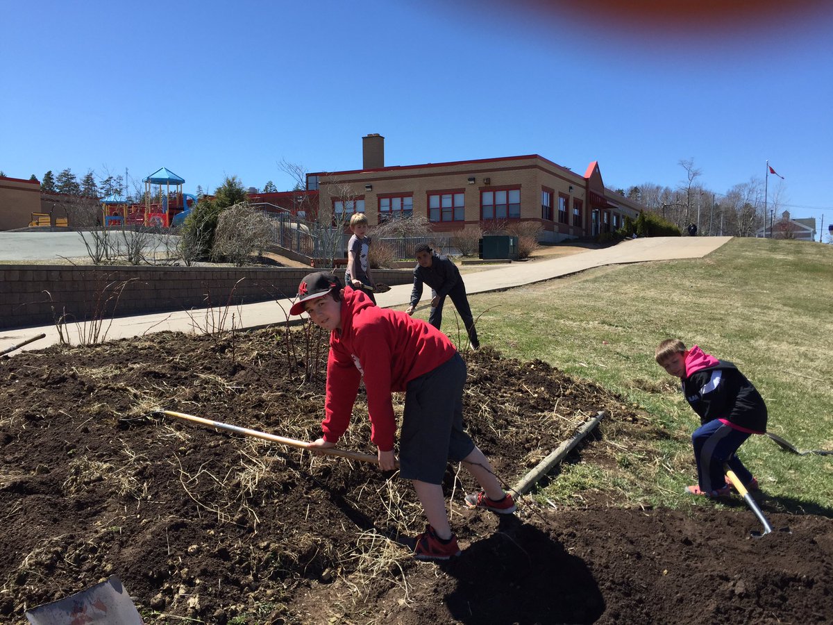 neattt3's tweet photo. Getting ready to plant pumpkins in our school garden! #hpcs4 https://t.co/opiR7fQvyl
