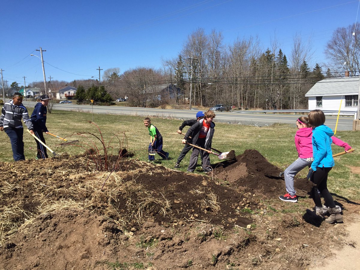 neattt3's tweet photo. Getting ready to plant pumpkins in our school garden! #hpcs4 https://t.co/opiR7fQvyl