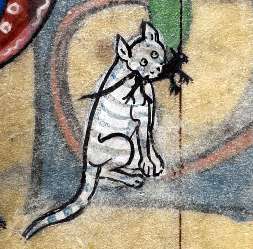 discarding_imgs's tweet photo. White cat, black mouse, ‘The Maastricht Hours’, Liège 14th century (BL, Stowe 17, fol. 75v) @BLMedieval https://t.co/oRhKmKR5oh