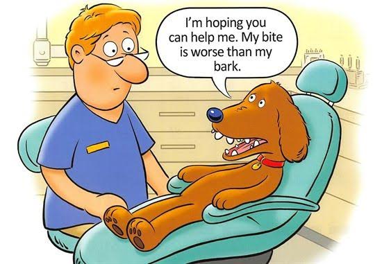 NBDentalGroup's tweet photo. Happy Friday! #friday #dentist #dentistfunny #burnaby
Original image source: unknown https://t.co/vvlt3DHAGU