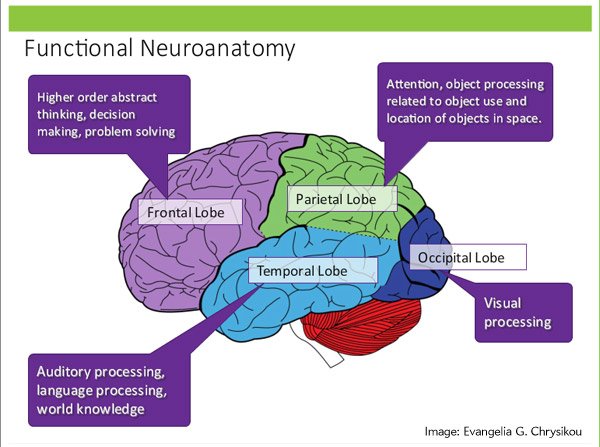 sciam's tweet image. Our course examines brain activity during creative tasks. Registration closes May 4th: bit.ly/CrTwtr.