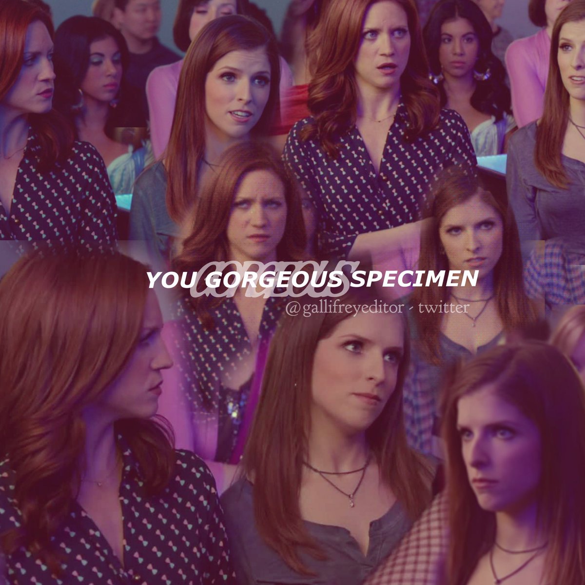 gallifreyeditor's tweet photo. #pitchperfect #chloebeale #becamitchell #edit https://t.co/mUpLvoIMtt