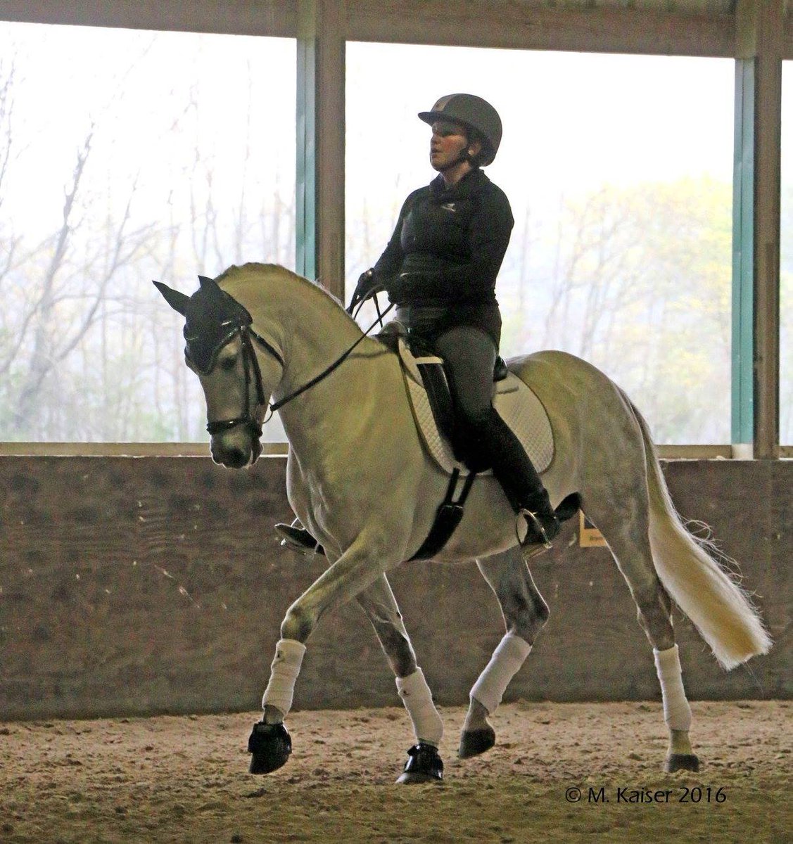Freedofmovement's tweet photo. Incredible clinic last weekend and my first Grand Prix of the season a week from tomorrow! #usdflookout #elmistico https://t.co/B92It65j8l