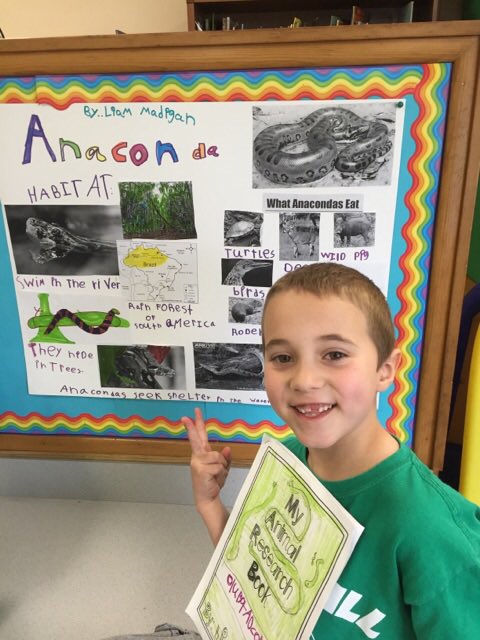 LisaFarina1's tweet photo. 1st graders @PaddyHillTweet @GreeceCentral sharing their animal research papers and dioramas. Awesome job! https://t.co/jN8Hvi5Efj