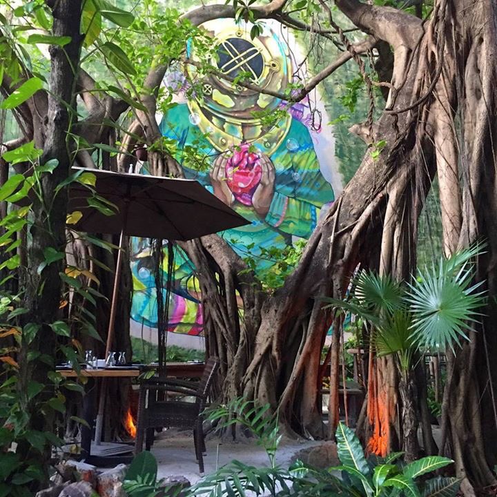 aldeacorazon's tweet photo. 🌿Cena romántica en un jardín encantado.🌿Romantic dinner in a magic garden.🌿 #AldeaCorazon #PlayadelCarmen https://t.co/7g8UQUucgG