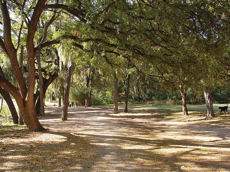 Austin_Monthly's tweet photo. Head outdoors and get active by hitting the 12 best hiking and biking #ATXtrails. https://t.co/oj3Xr5D71v https://t.co/cMItNvQOfF