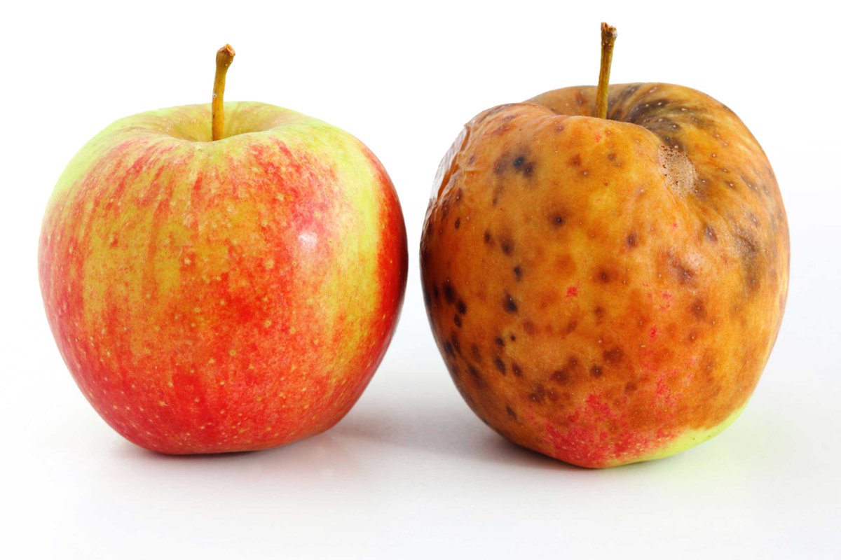 ideaengineering's tweet image. One more time. Again...
Idea Engineering&apos;s latest blog post from Simon Dixon
t.e2ma.net/message/1xok8b…