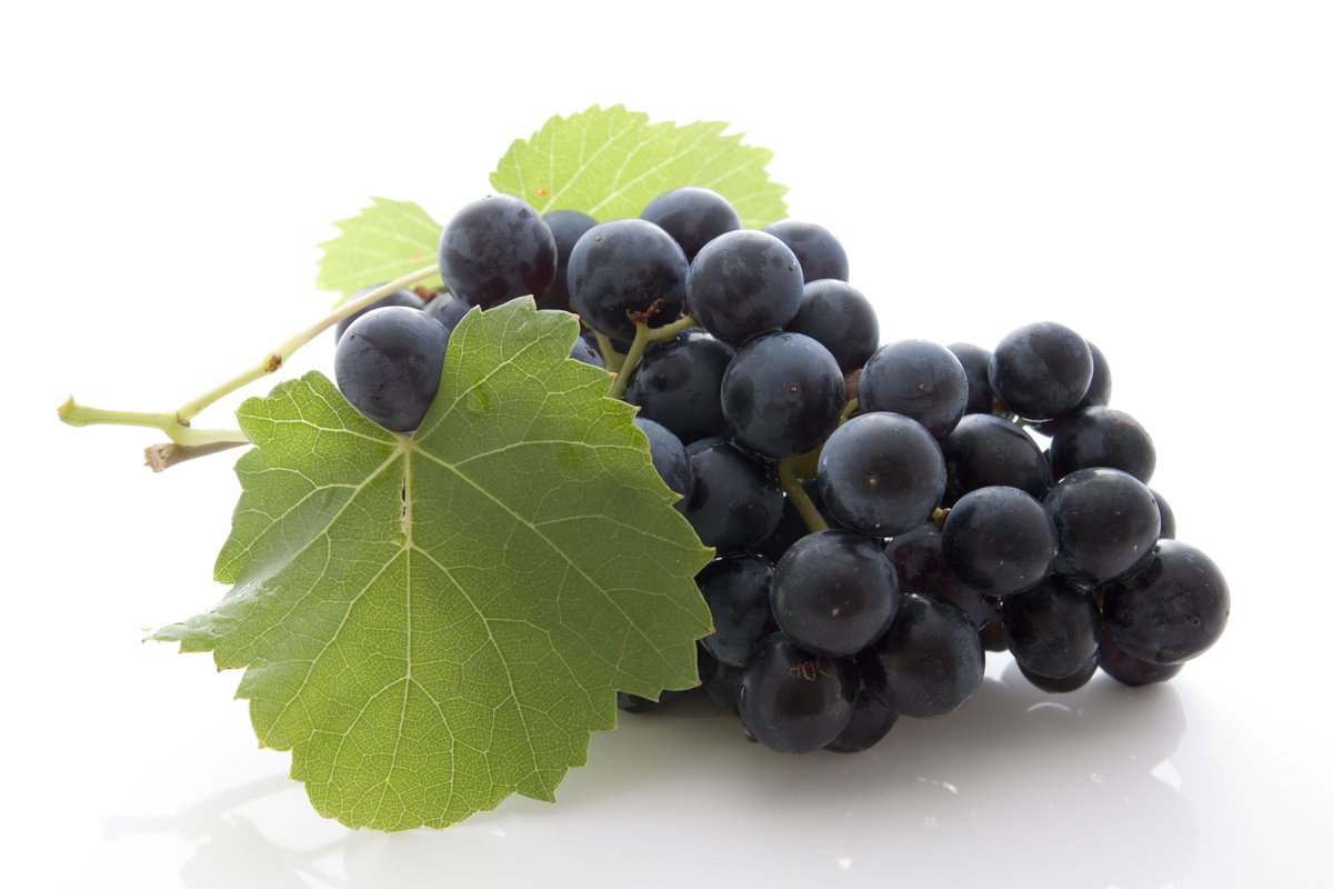 Grapes, is a symbol of fertility and wealth. Sweet berries bring happiness and success in love. #wine #DTPwines