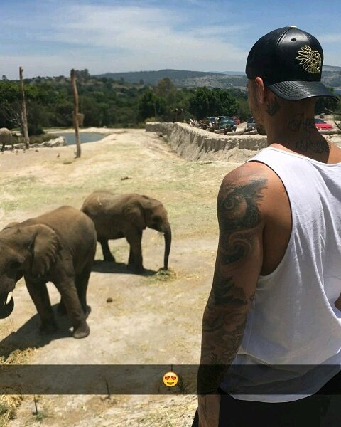 Safari😍🐘
<a href="/maluma/">MALUMA</a>