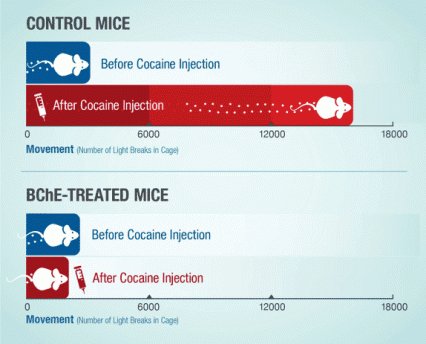 healthtipsandr1's tweet photo. Gene Transfer Therapy for Cocaine Addiction Passes Tests in Animals https://t.co/NbitCKRQKb https://t.co/DBgYtsx1De