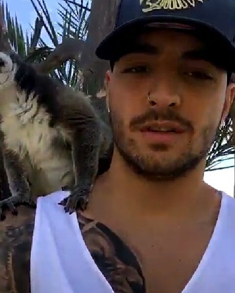 Hermsos😘
<a href="/maluma/">MALUMA</a>