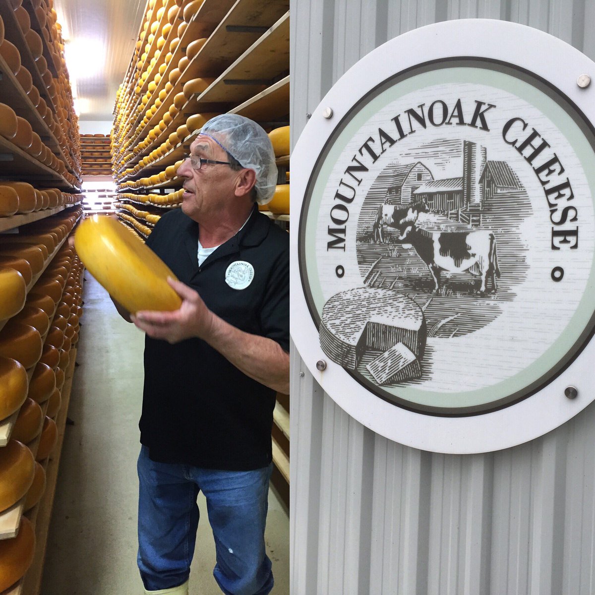 5brotherscheese's tweet photo. Cheese road trip to @MountainoakC to visit Adam & his beautiful Goudas. #cheese #cheeseadventure #farmstead https://t.co/UmPMkiItx9