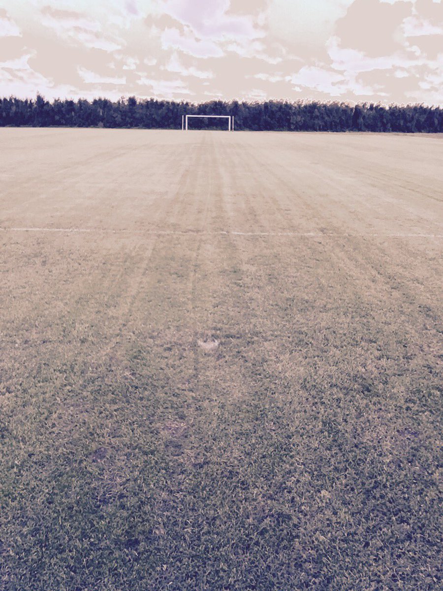 #RacingUniversitario Volvemos con toda #OneWeekLeft <a href="/LUD_Oficial/">Liga Universitaria de Deportes</a> <a href="/LIGA_MVD/">LIGA MVD</a>