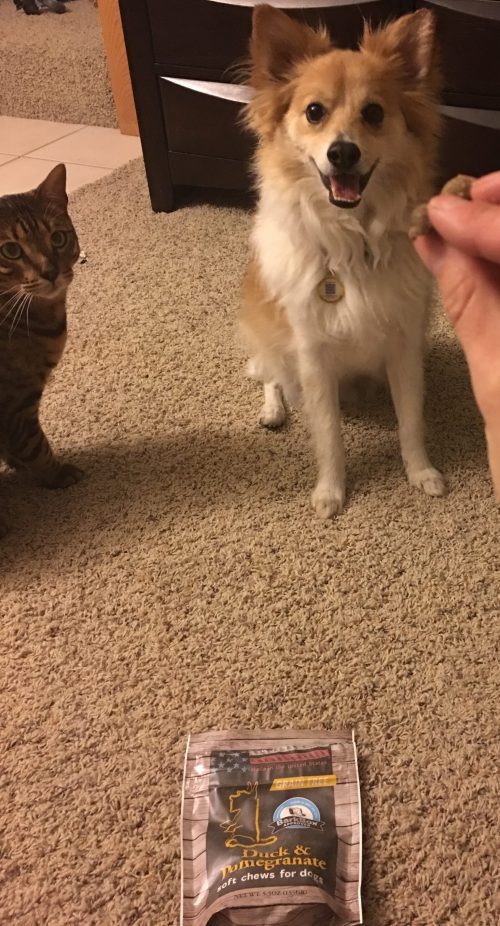 BoxDepictions's tweet photo. BarkBox review April, 2016 - https://t.co/XsCy9tVwHl @barkbox @BarkPost #barkbox #subscriptionbox #dogs #papimo https://t.co/lr8NLFE7m2
