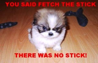 sezStyle tweet picture