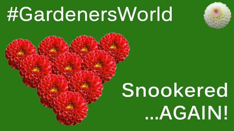 KerryLWheatley's tweet image. Missing you tonight Nigel! @montysdognigel #GardenersWorld #gardening #greatprogramme