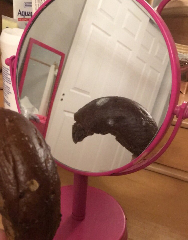 Moldy Bagel (justamoldybagel) Twitter