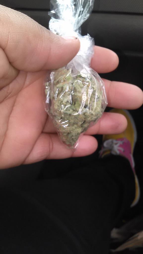 x_PlusImReal's tweet photo. Good crud. https://t.co/1wJDpxk5cx