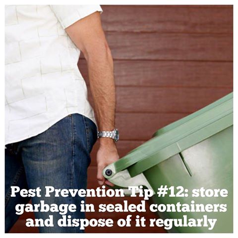 CalAmericanExt's tweet photo. #PestTip: Store garbage in sealed containers and dispose of it regularly. https://t.co/DiXaOoqOEH