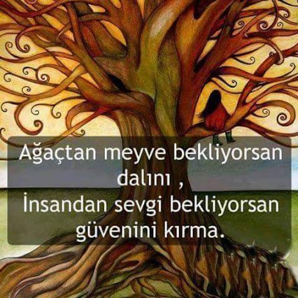 #DirilişIYIEkibi AGAÇTAN MEYVE BEKLİYORSAN DALINI,
İNSANDAN SEVĞİ SAYGI BEKLİYORSAN GÜVENİNİ KIRMA...