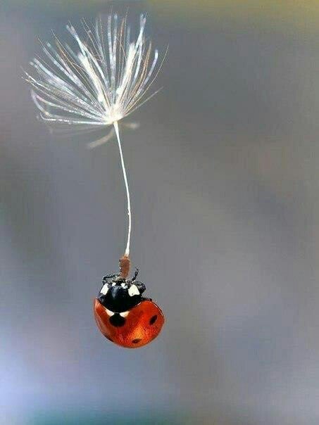 Bflucky's tweet photo. @ValueVisionOpt #ValueVision have an awesome weekend ! https://t.co/4EdKUBn0wJ