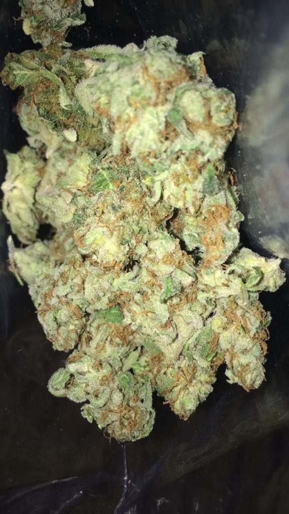 DankNugPlug's tweet photo. 15 a g.
40 an 8th

hmu. https://t.co/j55LjJ52dC