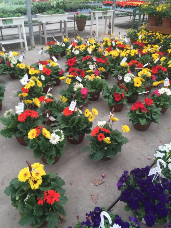 johnsonsproduce's tweet photo. Have you checked this out? https://t.co/7nklophWBP https://t.co/QryiY9kS1p