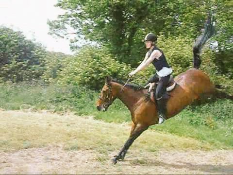 ithrah69's tweet photo. #ForgiveMeButI have given you the wrong steed... https://t.co/ToFVB7WAnD