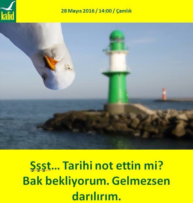 KALID_official's tweet photo. #tersmartı #hayditalaşa #kadikoyanadolulisesi https://t.co/obxtkqMopI