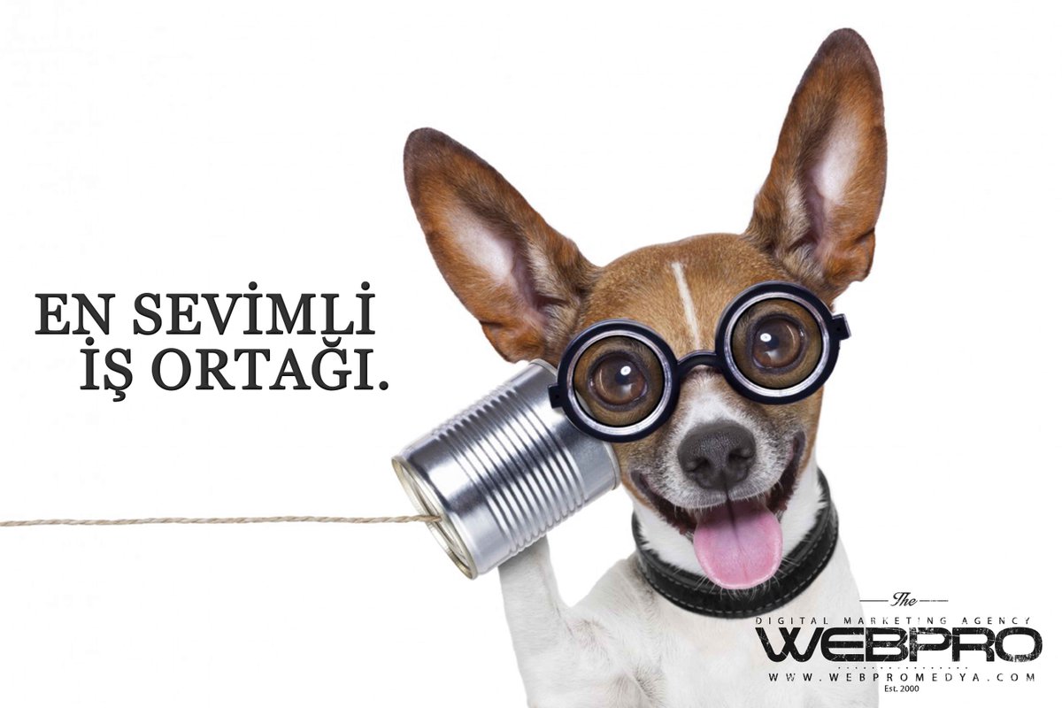 webpromedya tweet picture