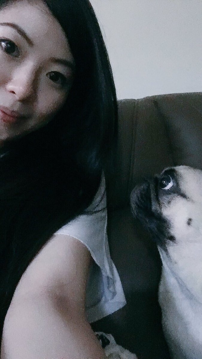 QuekJoJo's tweet photo. New friend 🐶 https://t.co/6SzpCbejBX