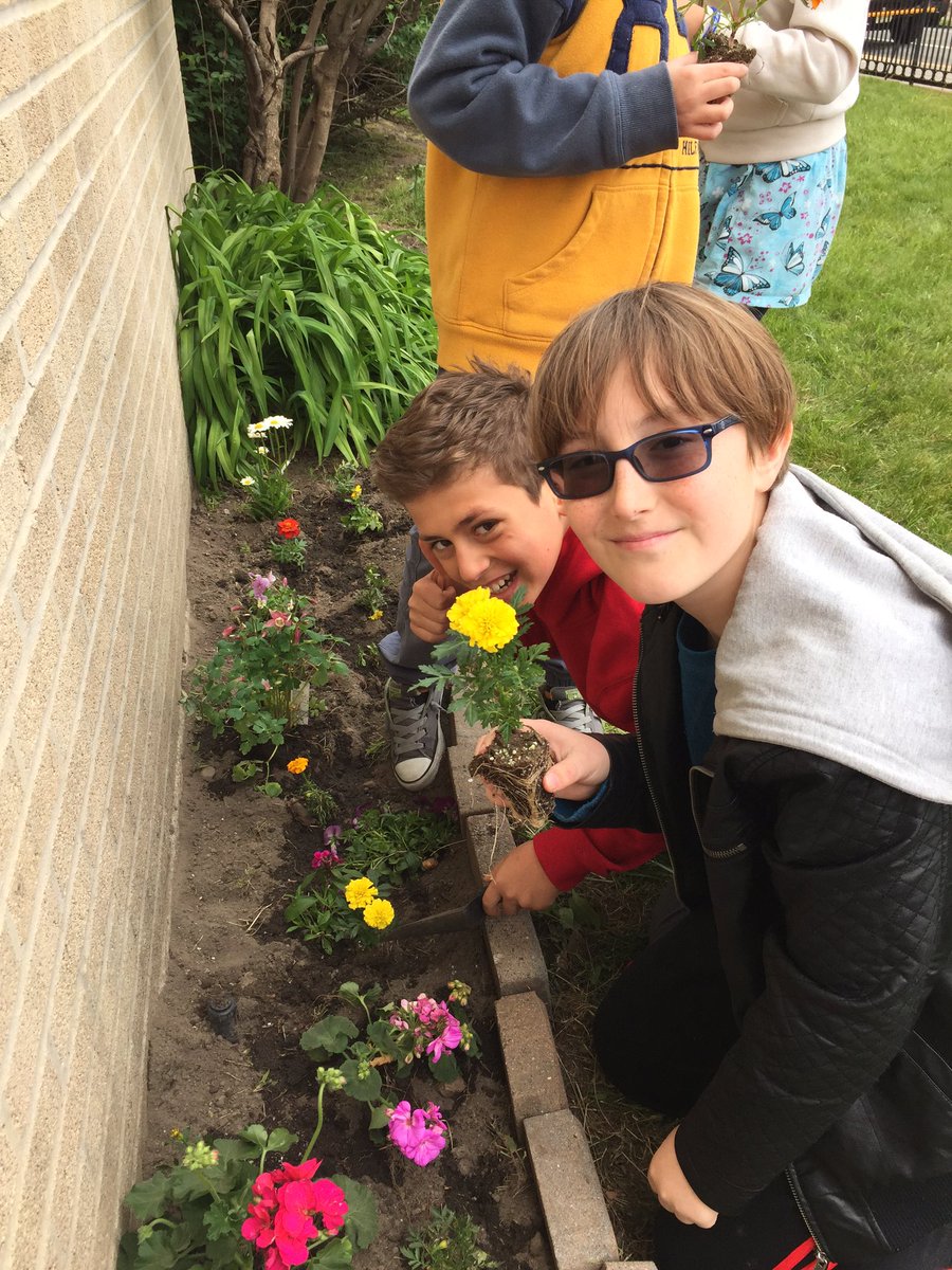 MrsAMcCullough's tweet photo. Planting flowers outside school #weegarden https://t.co/BRDrn1B4Uq