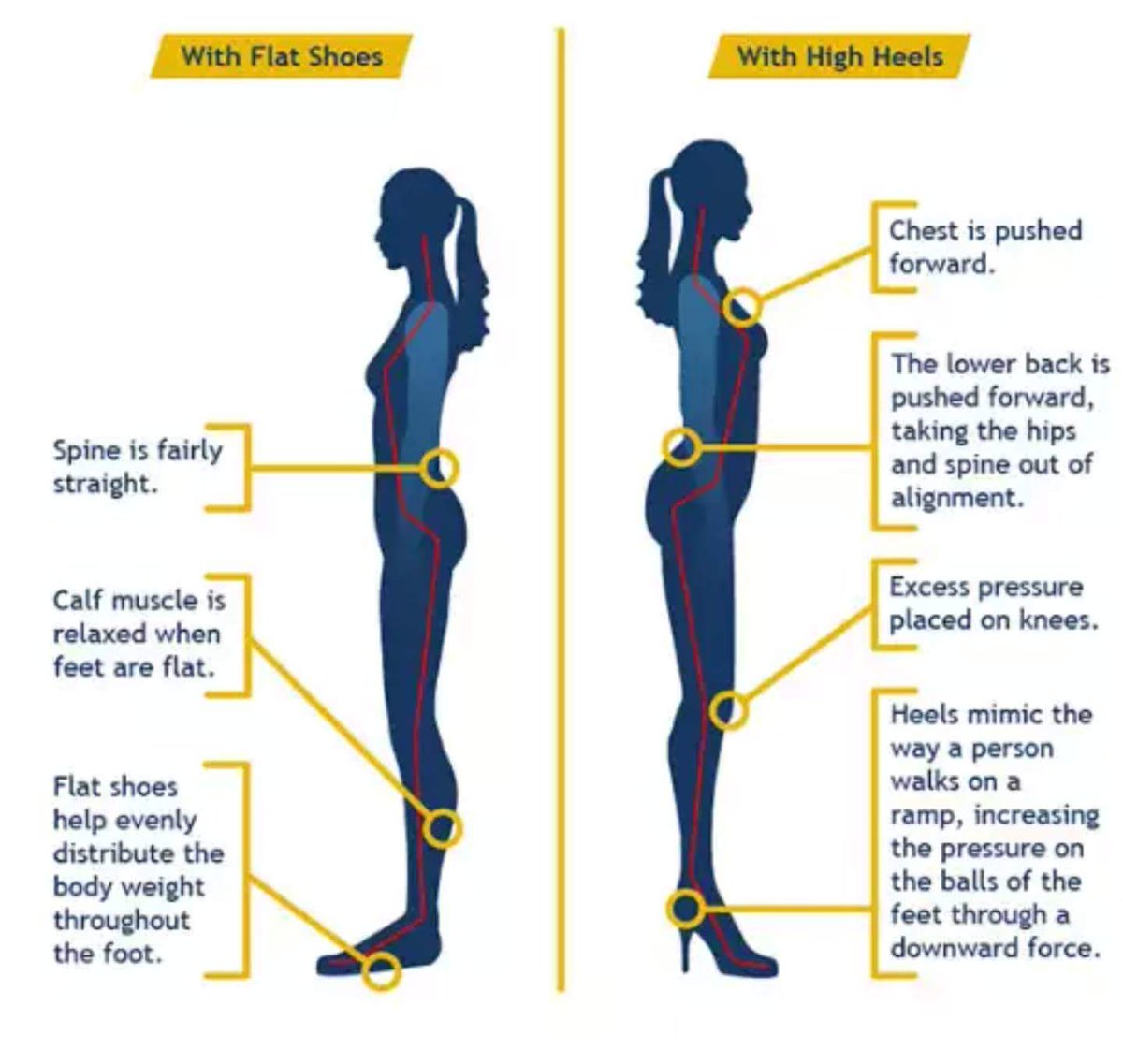 HealthfulLiv365's tweet image. This is where health meets fashion.
#LadiesDay #heelsjob #PostureAlignment #flats #VIEWS #WomenEd #fashion