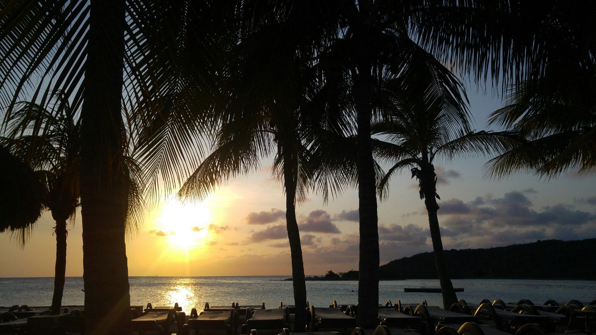 AimeeeRachel's tweet photo. Follow the sun…. https://t.co/WWV0HpsDQe https://t.co/eCyqnlDXjY