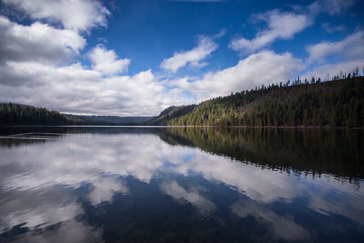 Top Portland chef, bartender tapped for new <a href="/SuttleLodge/">The Suttle Lodge</a>: oregonlive.com/dining/index.s…