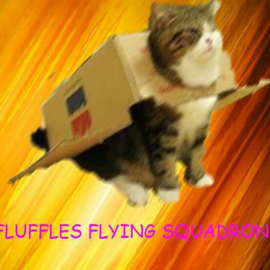 Omashaft's tweet photo. .@Gamescroller #MeowDown because you're in #FlufflesCountry now! #FlufflesNation #FlufflesFlyingSquadron https://t.co/bAeWRQDc0o