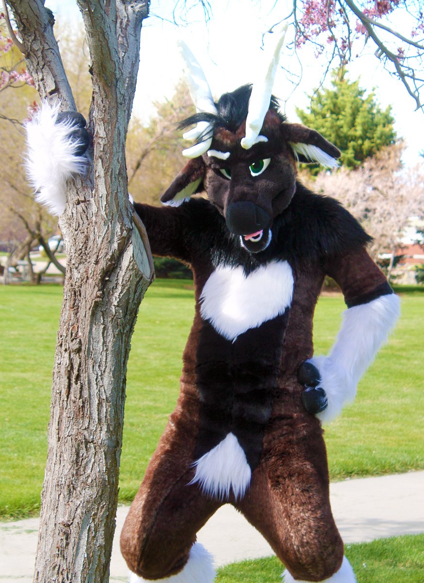 KnowMeByHart's tweet photo. Happy #FursuitFriday! Wanna climb my tree? 

Picture by @paradox_wizard https://t.co/bROO1XETZd