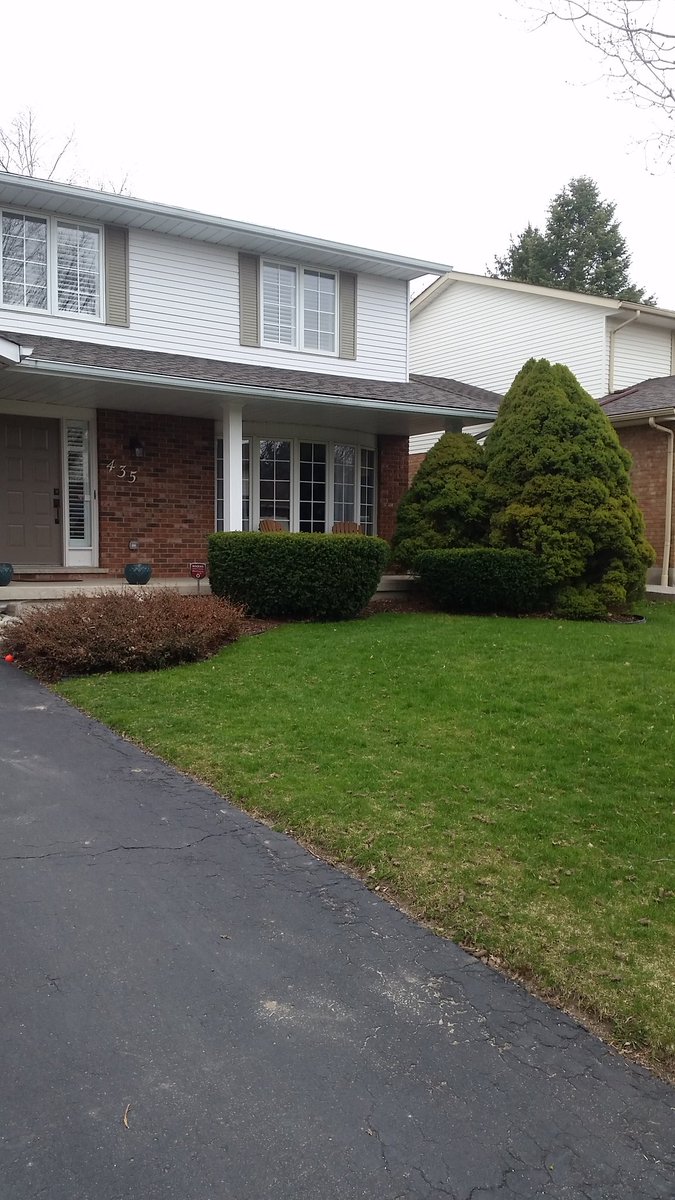 forsythLDM's tweet image. Big day today digging out these monsters. We'll be putting the finishing touches on the garden next week.