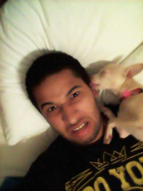 TheRealJohnBray's tweet photo. #puppylove #Chihuahua https://t.co/P3gKIKF69F