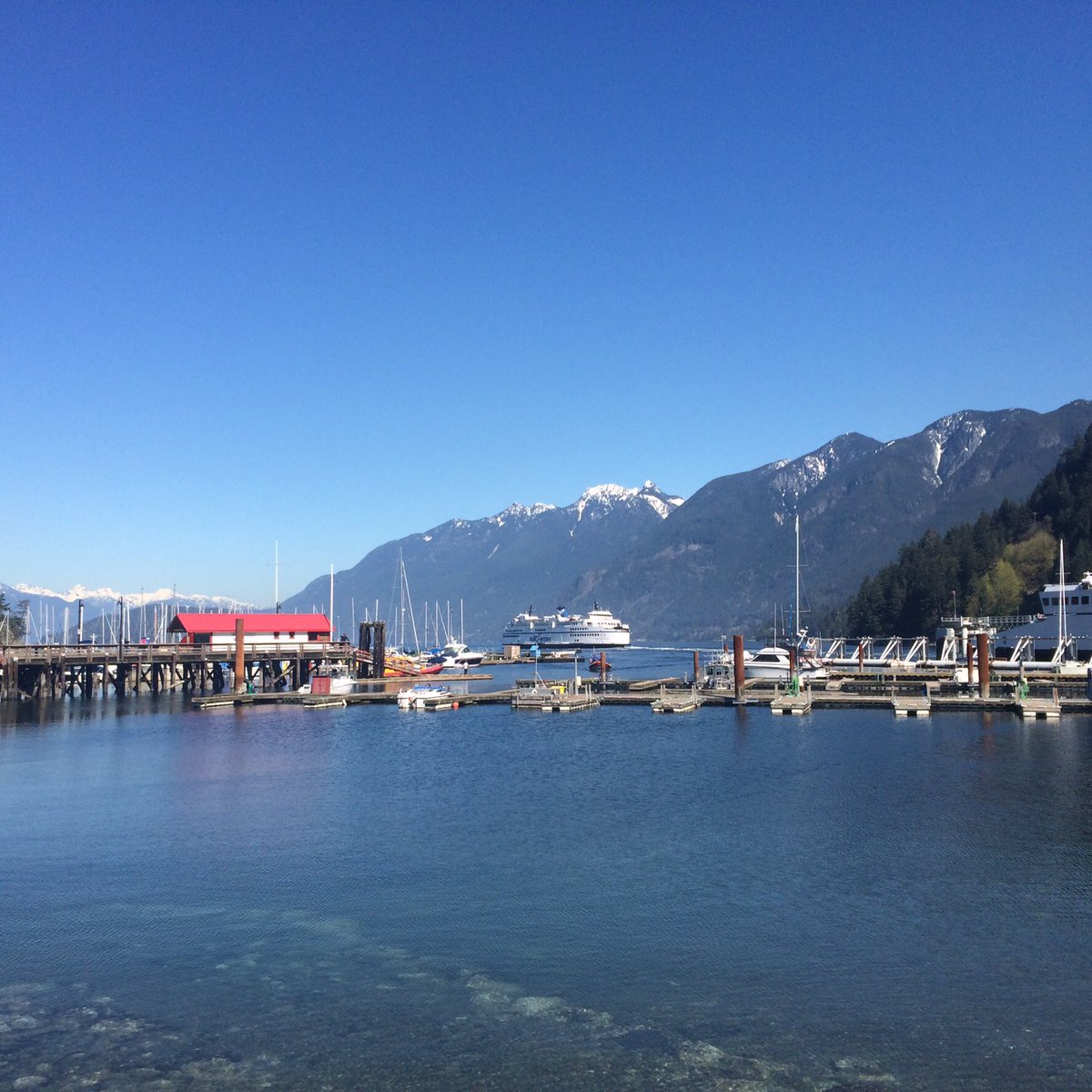 I love LA... But sometimes I need a break! Wishing I was back in BC today! #travel #adventure