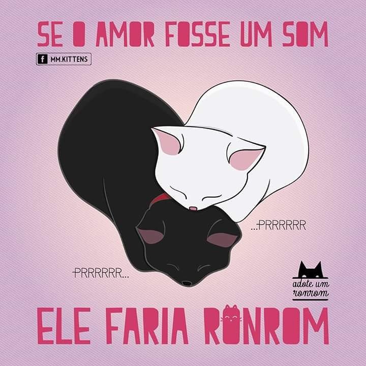jess_bennington's tweet photo. Se o amor fosse um som ele faria ronrom =^.^=
#Cats #Ronrom #ILoveCats 🐱❤ https://t.co/6Z1so5lg3I