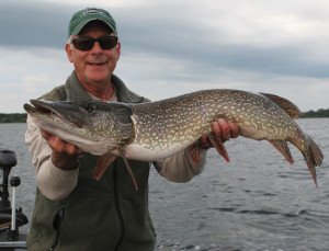 proangler_'s tweet photo. Pike &amp; Muskie Fishing Tips And Tricks https://t.co/5ECiDyQIow #outdoors https://t.co/3l3lOpxlCH