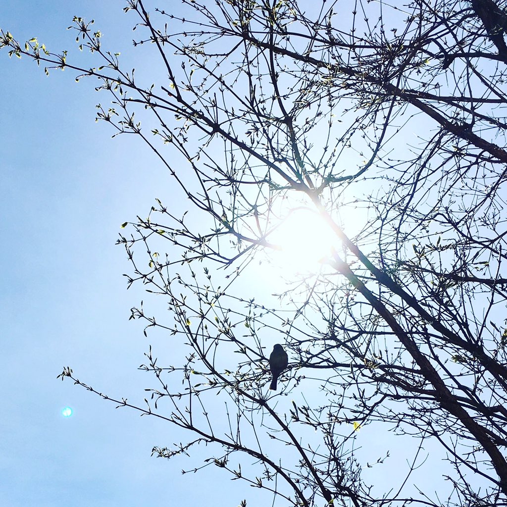 Thank you <a href="/MakeAWish/">Make-A-Wish America</a> for sharing my story wish.org/wishes/wish-na…