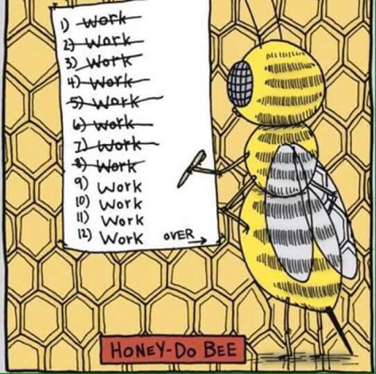 savethebuzzinc's tweet image. 