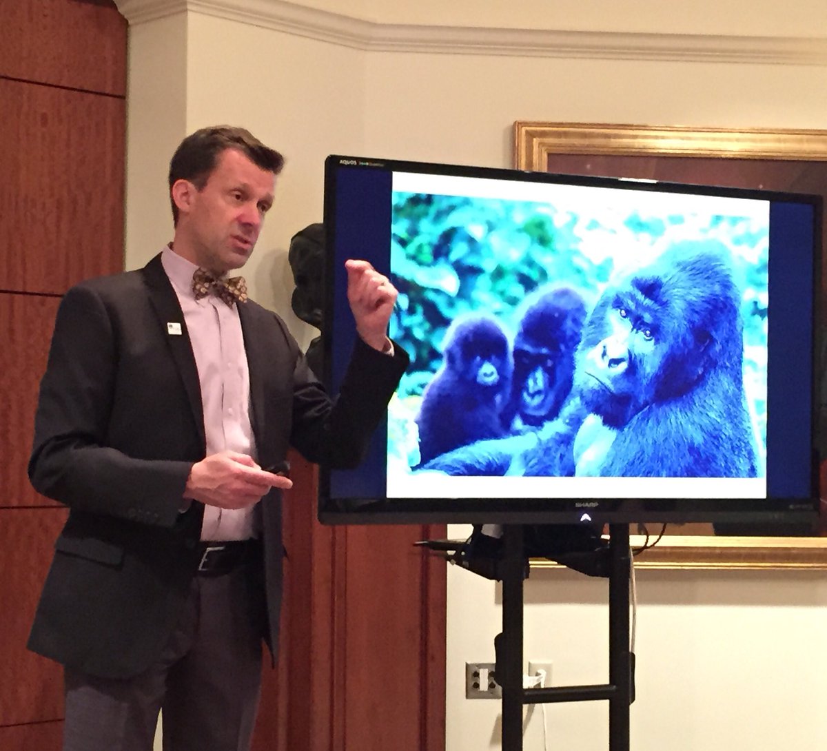 IndianapolisZoo's tweet photo. @RobShumaker helping #INFusionFest guests to understand efforts to protect wildlife. @Indy_Symphony #inspire #hope https://t.co/DAxeKMWwgw