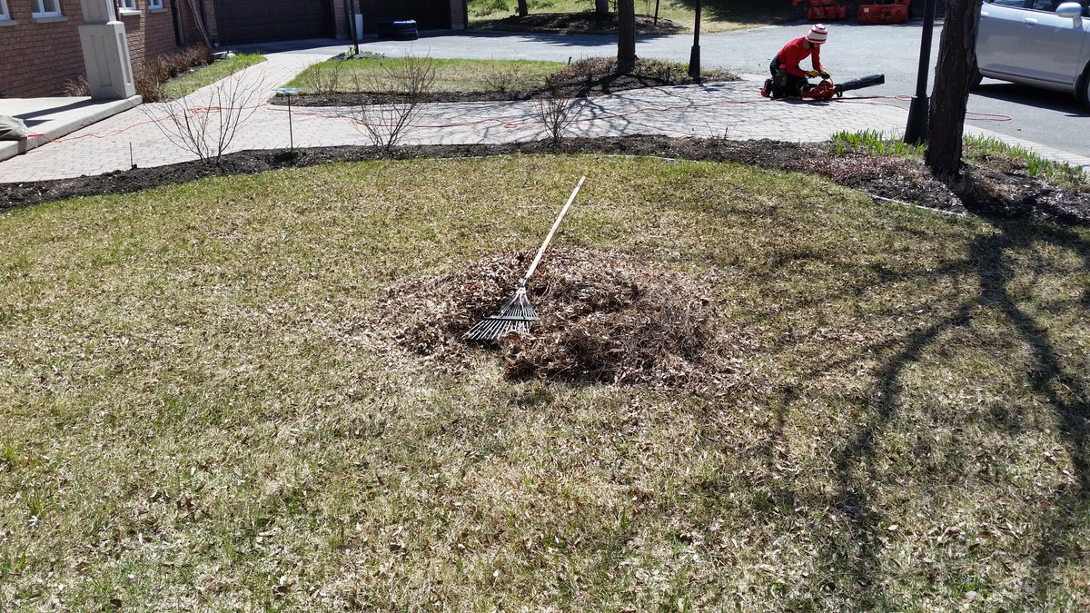 GrowOttawa's tweet photo. There were so many piles #gardenclean #backissore @LittleCropCircl @angelinagardens @kfos16 @GreenLivingOtt https://t.co/bMB5ZrjWEt
