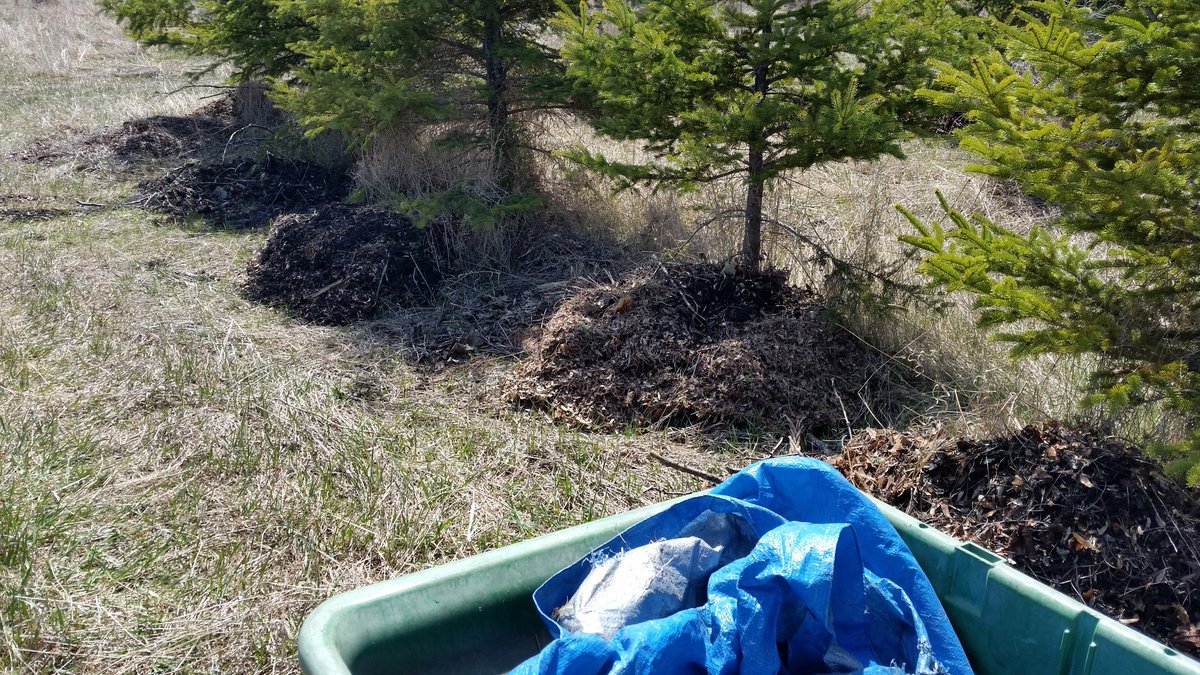 GrowOttawa's tweet photo. There were so many piles #gardenclean #backissore @LittleCropCircl @angelinagardens @kfos16 @GreenLivingOtt https://t.co/bMB5ZrjWEt