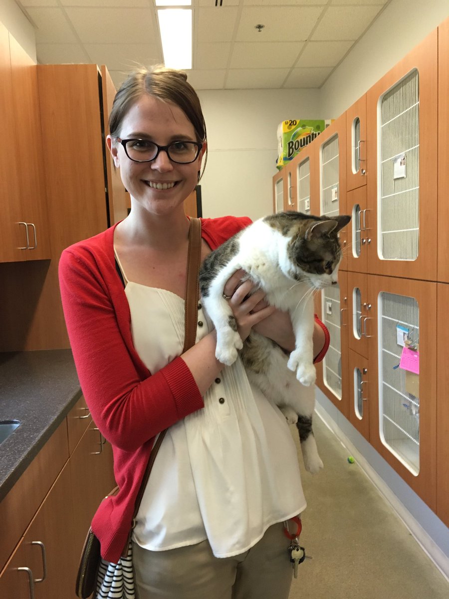 elissa_herber's tweet image. I adopted a cat today. He has six toes on his front paws! #uniquepets