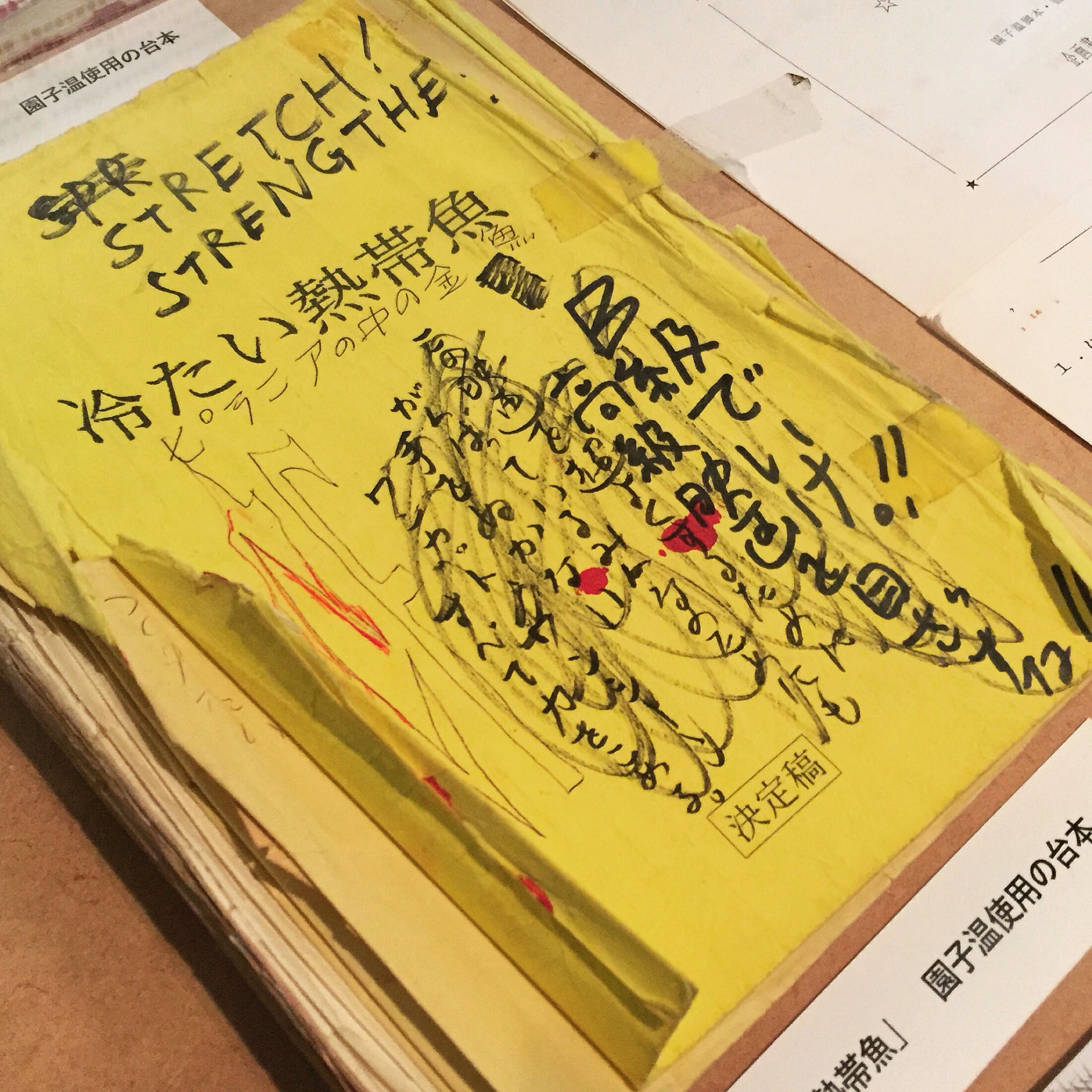 【お宝】　『冷たい熱帯魚』台本（決定稿）　園子温 齋藤洋平│伊豆のカメラマン على X: 