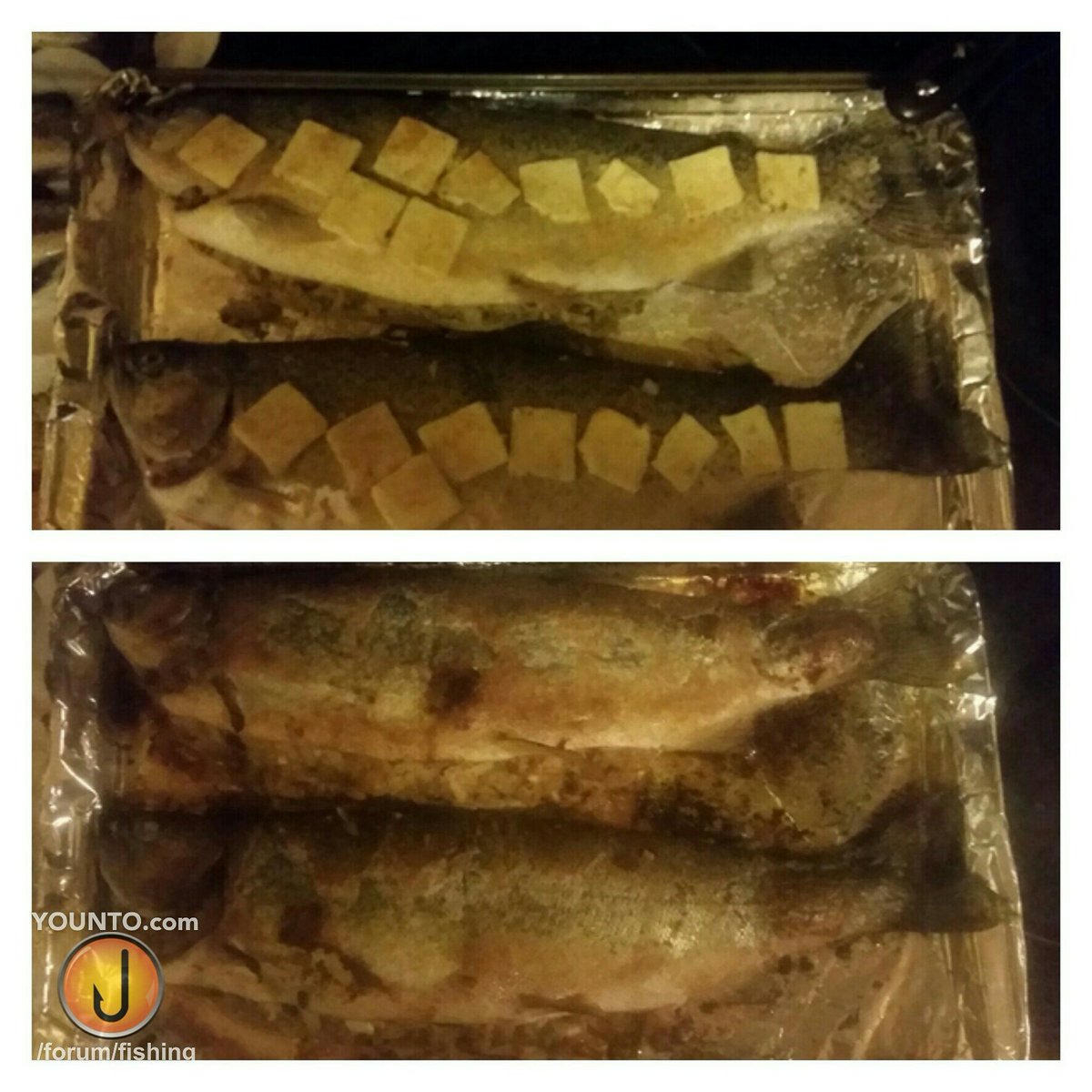 YountoFishing's tweet photo. @cooking_w_Norse @TrevacyOutdoors @MrChensOrganic #crabstuffed #trout !! https://t.co/O4ttbXhpCP @UWnt2 #yum #foodie https://t.co/DYvGsE0yjj